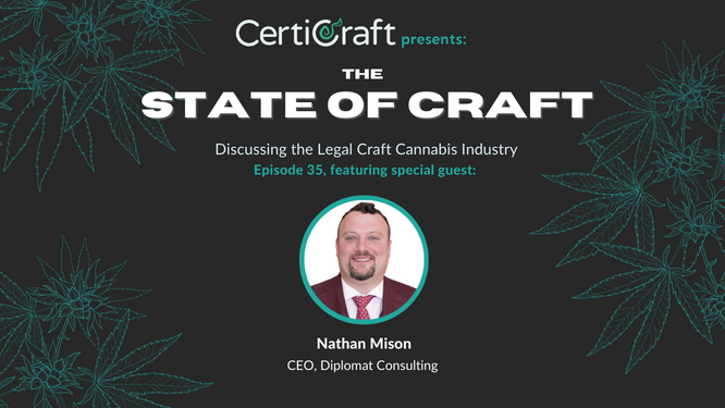 Ep.35 - Policy Advocacy 101 with Nathan Mison from Diplomat Consulting