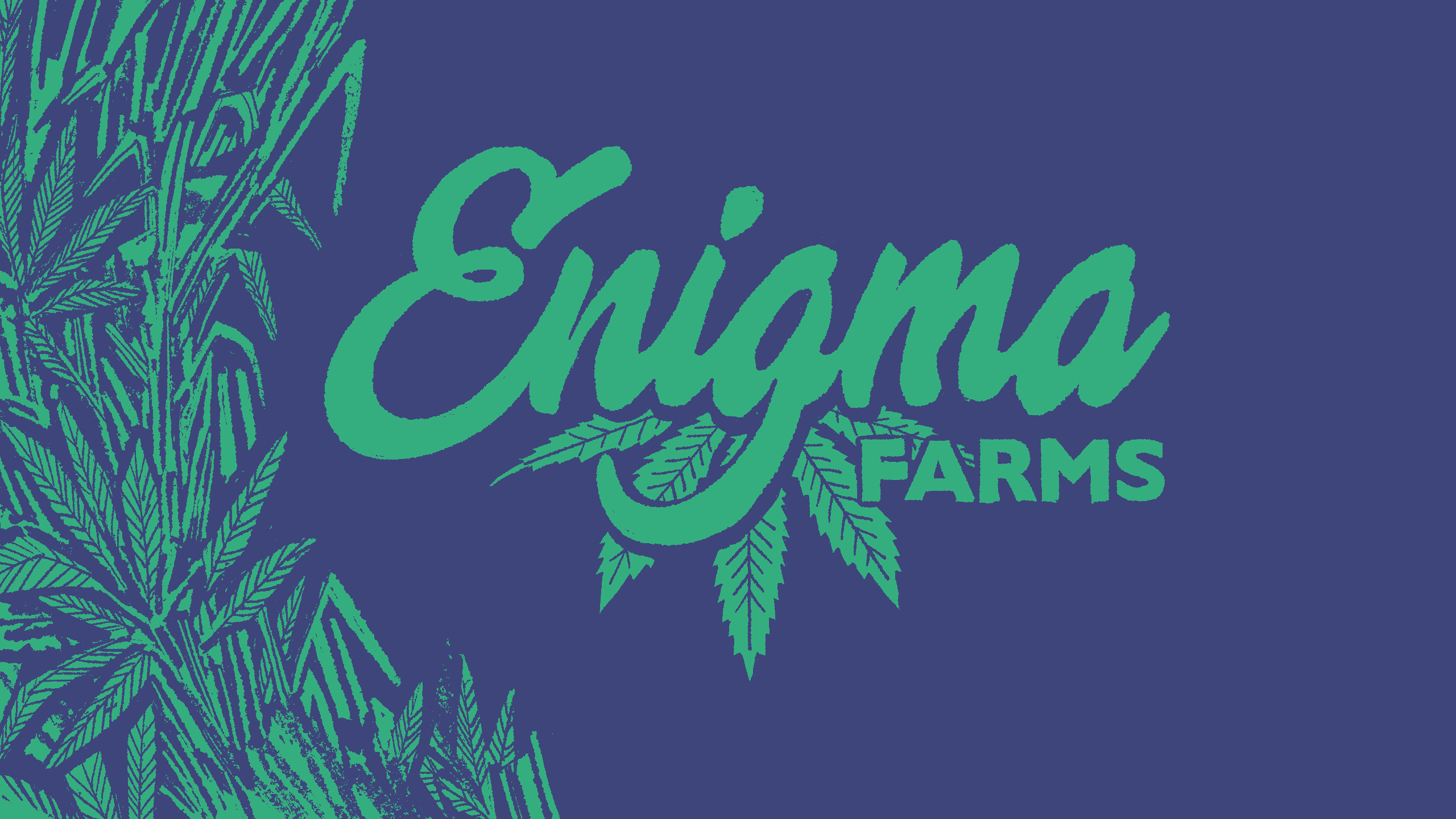 Why They Switched (Back) to CertiCraft #10: Enigma Farms